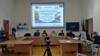 tavola rotonda life streams