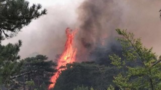 incendio