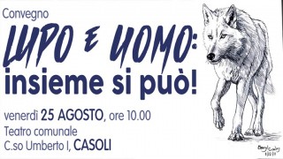 lupo e uomo