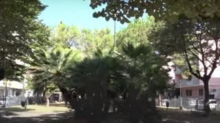 piazza santa caterina