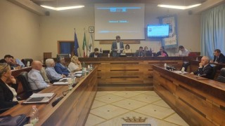 consiglio roseto