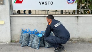sequestro vasto