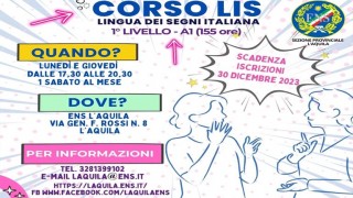 lis aquila