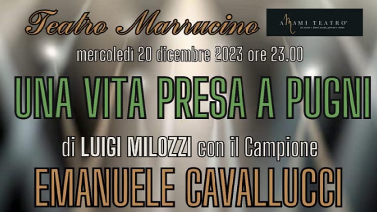 una vita presa a pugni