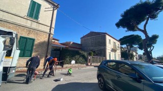 Mappatura degli alberi a Roseto