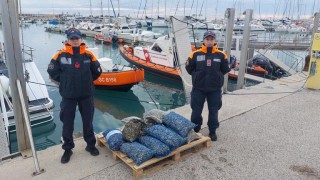 giulianova, sequestro vongole per il mercato nero