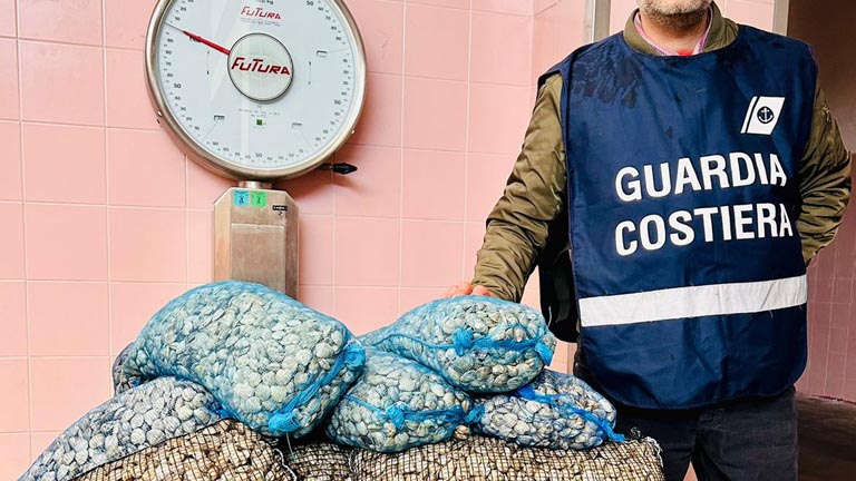 guardia costiera sequestro vongole a Roseto