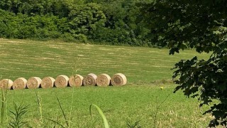 terreni agricoli e imu