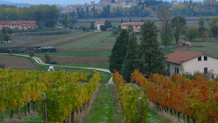 vie rurali
