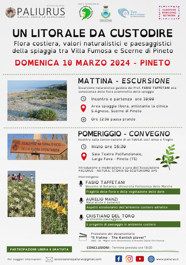 Un litorale da custodire a Pineto