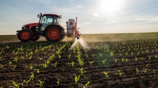 agricoltura
