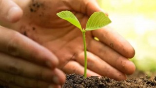 agricoltura biologica