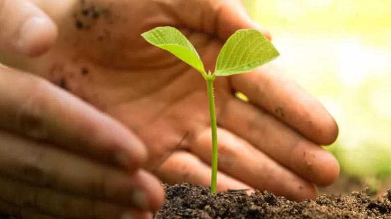 agricoltura biologica