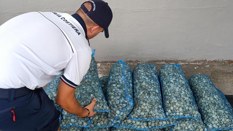 Guardia costiera e sequestro vongole