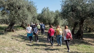 In Abruzzo salvare un oliveto salva la vita