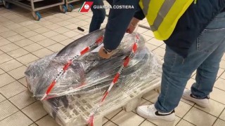 sequestro guardia costiera Pescara