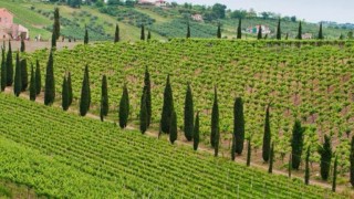 agriturismo