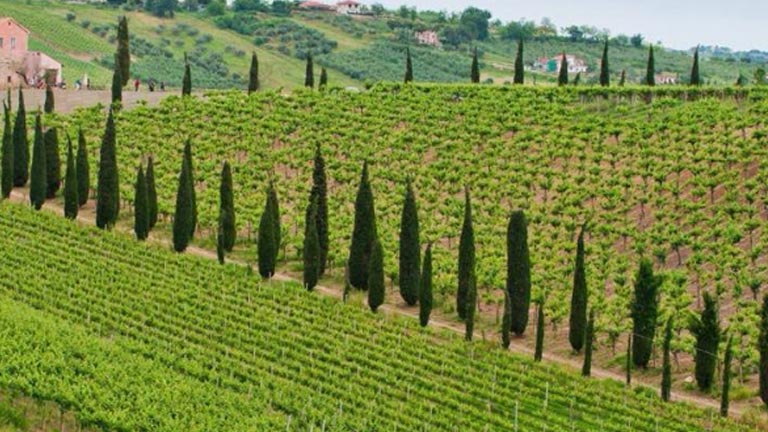 agriturismo