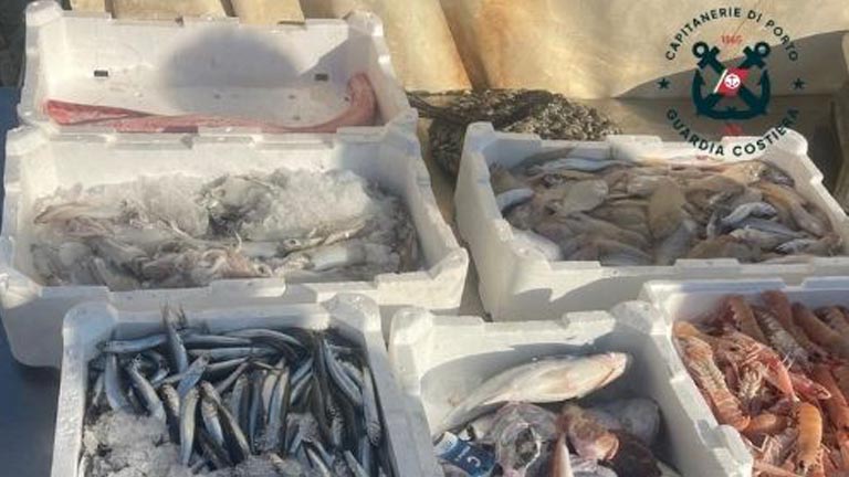 controllo sulla pesca