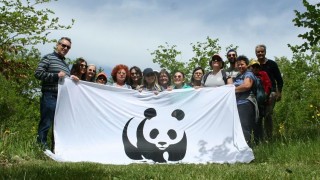 wwf