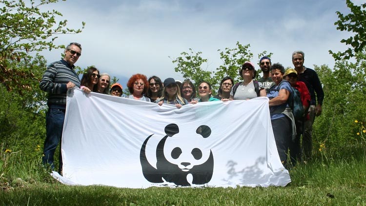 wwf