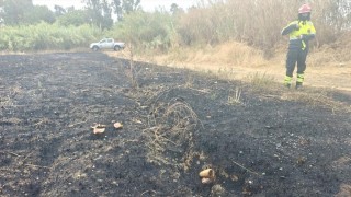 Incendio nella Riserva del Borsacchio- distrutti due ettari di vegetazione retrodunale