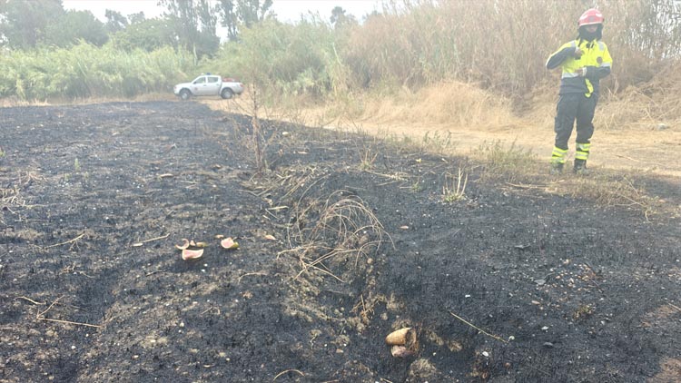 Incendio nella Riserva del Borsacchio- distrutti due ettari di vegetazione retrodunale