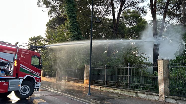 incendio alla Pineta di Pescara