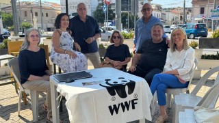 wwf contro mirò