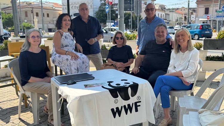 wwf contro mirò