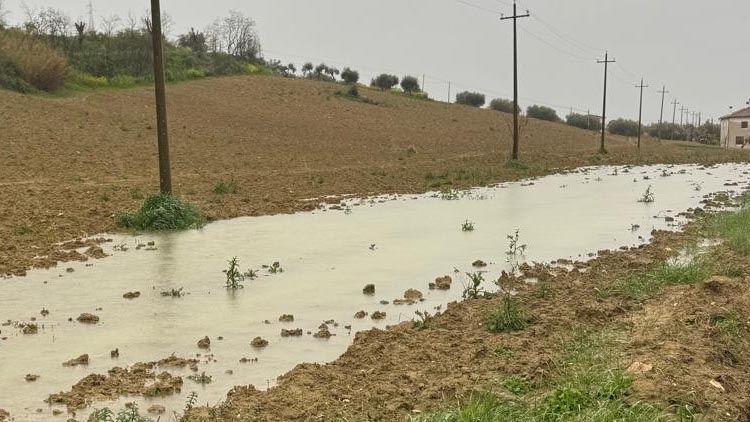 agricoltura maltempo allagamenti