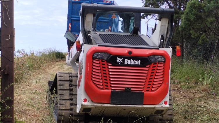 bobcat a lavoro a Roseto