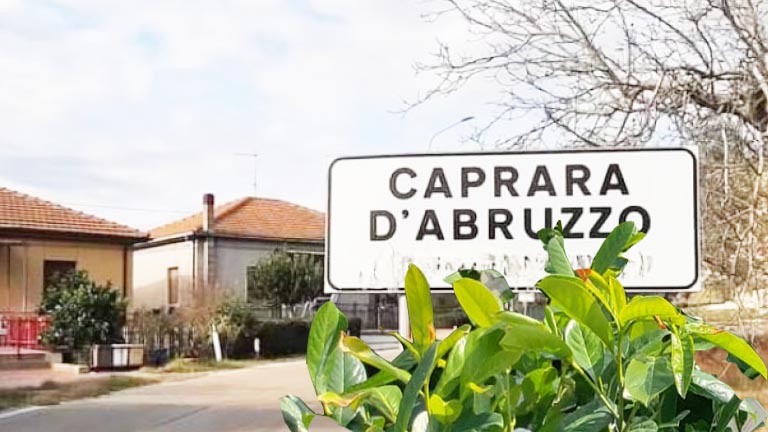 caprara d'abruzzo cartello