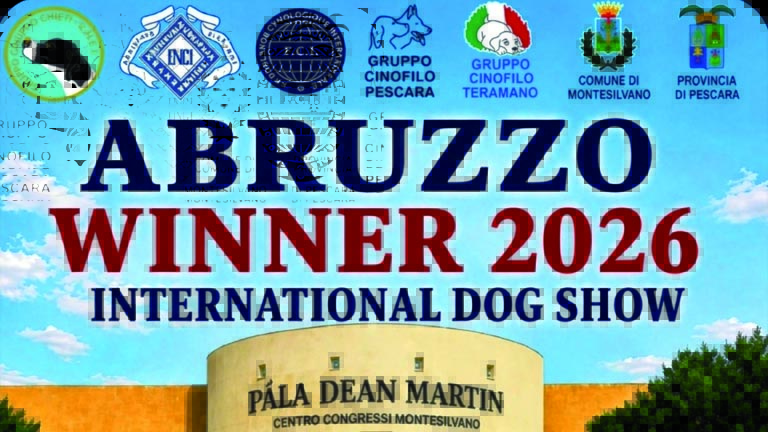 Abruzzo Winner 2026 - A Montesilvano