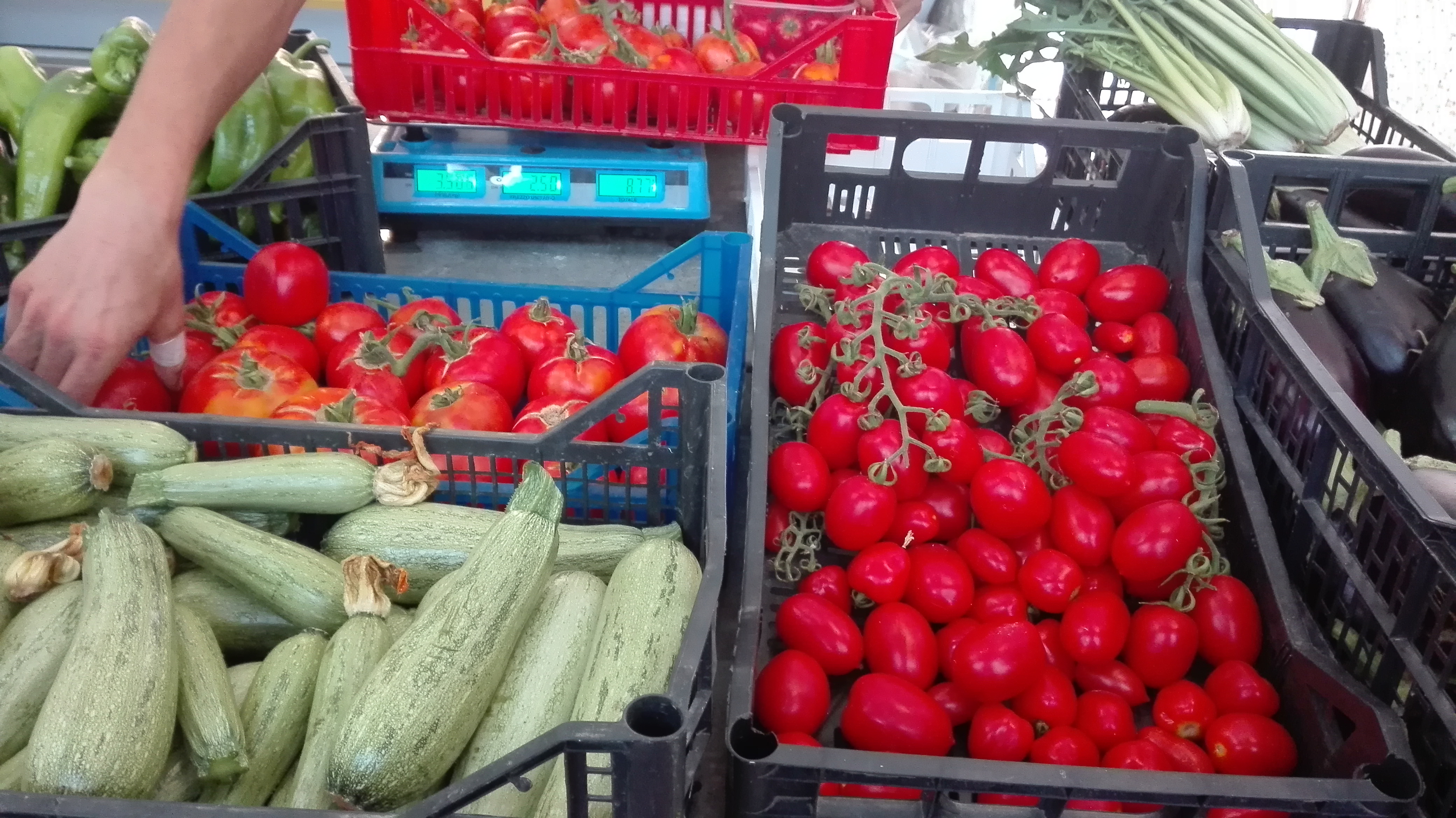 L'orto di S.Agata