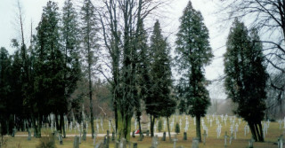 cimitero di guerra