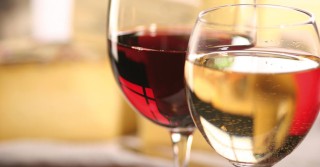 vino
