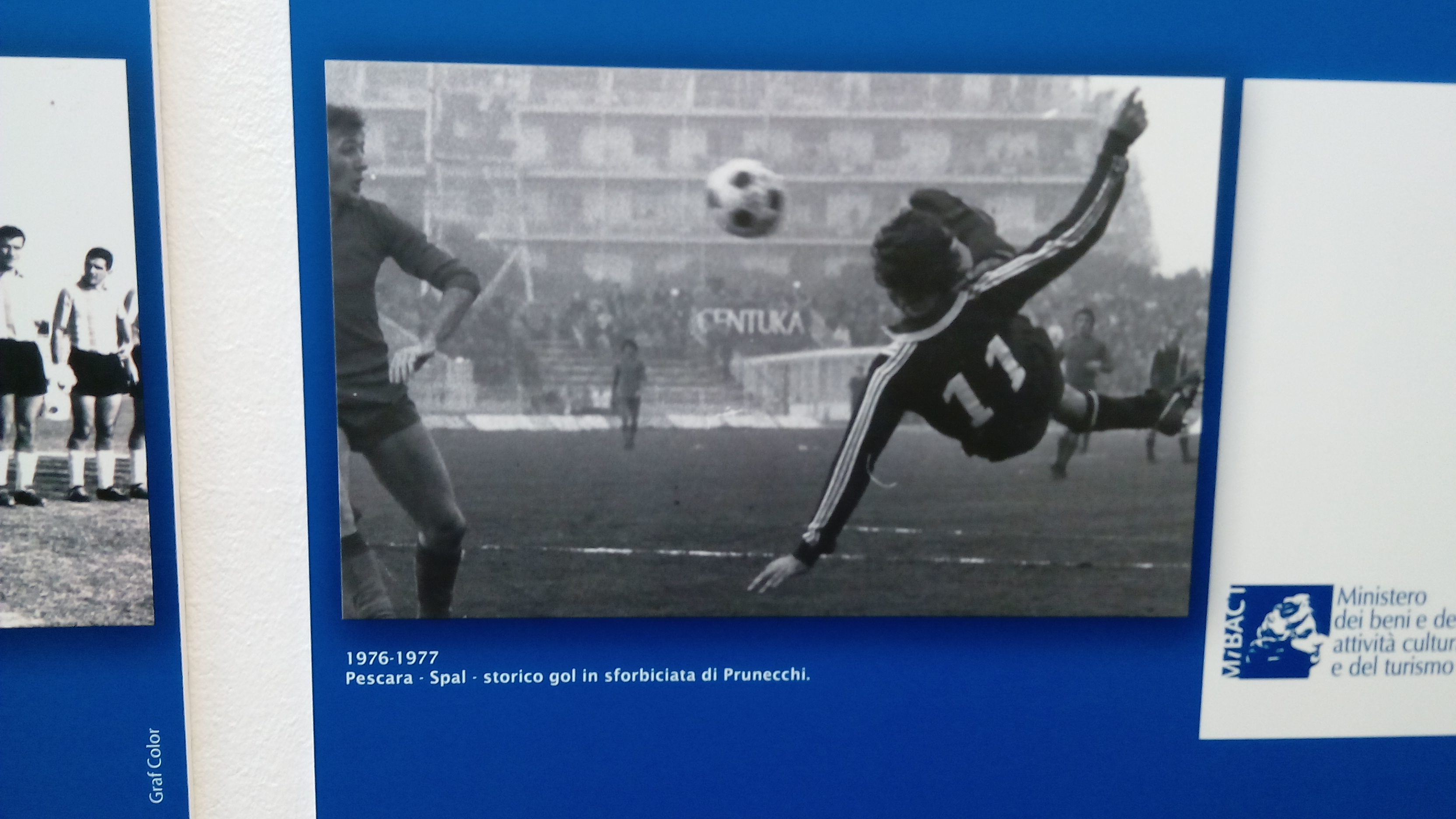 Prunecchi
