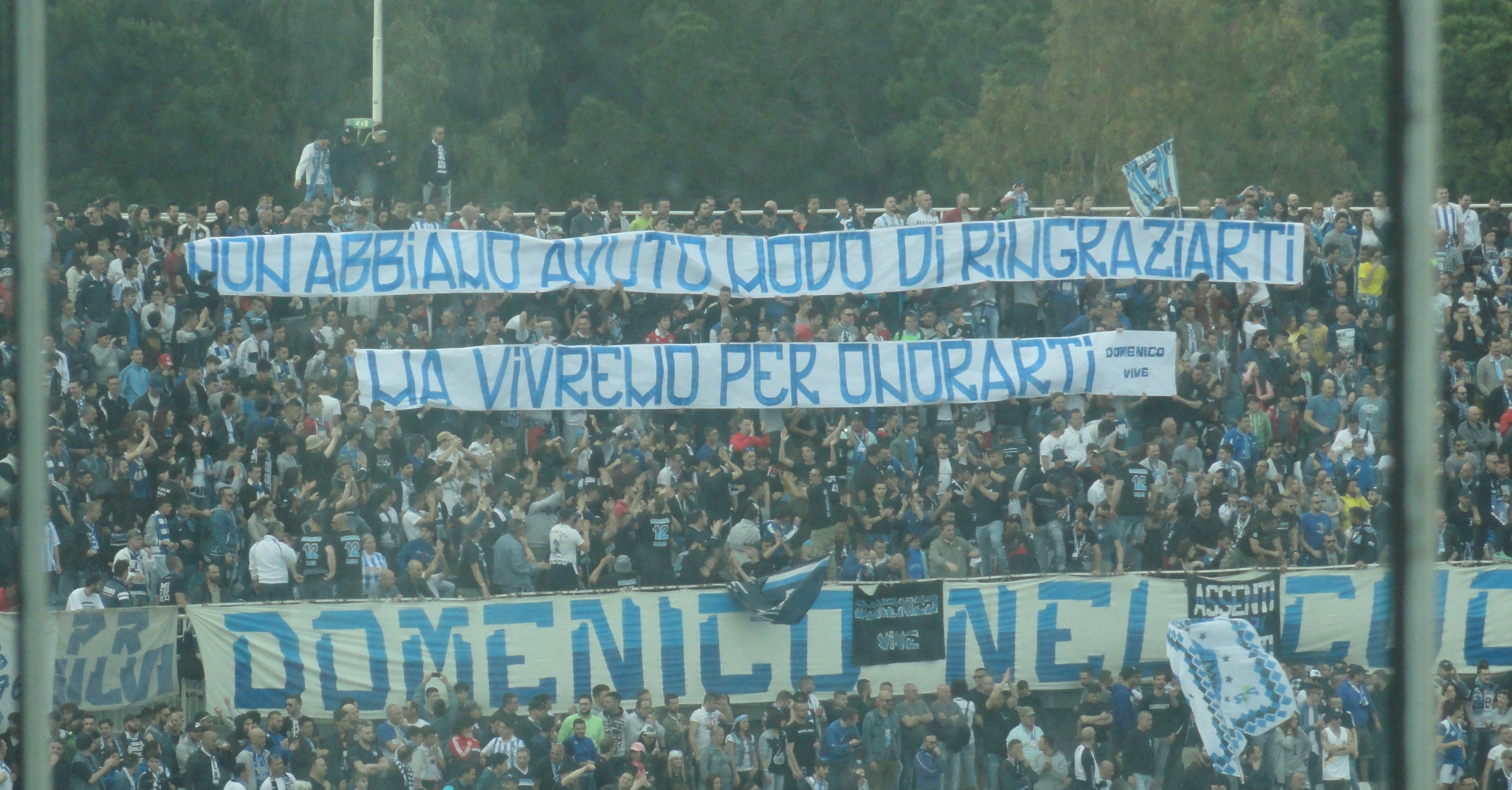 La curva nord