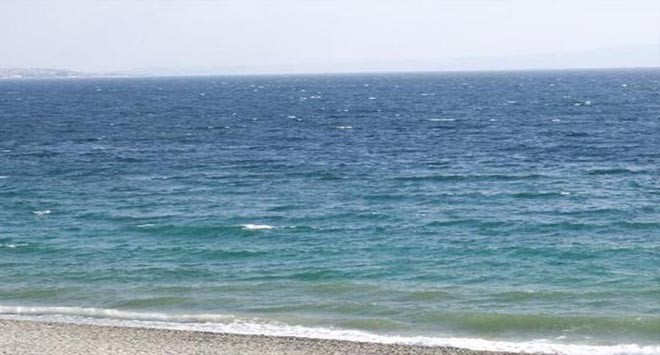 mare