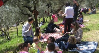 merenda tra gli ulivi