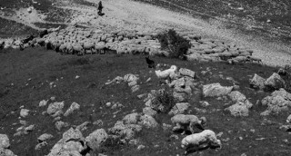 tratturo - pastori abruzzesi