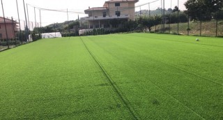 atri campo con erba sintetica