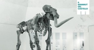 mammut l'aquila