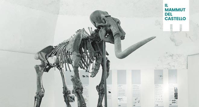 mammut l'aquila