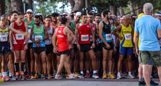 bucci runner memorial