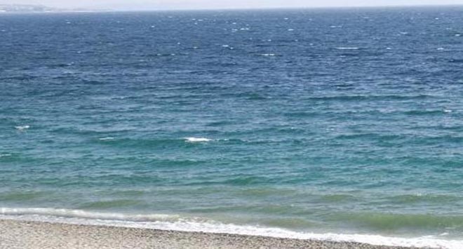 mare