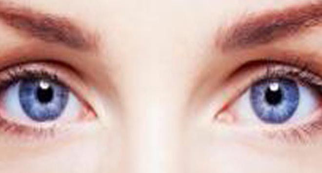 retina