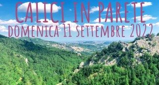 calici in parete farindola