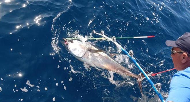 pesca